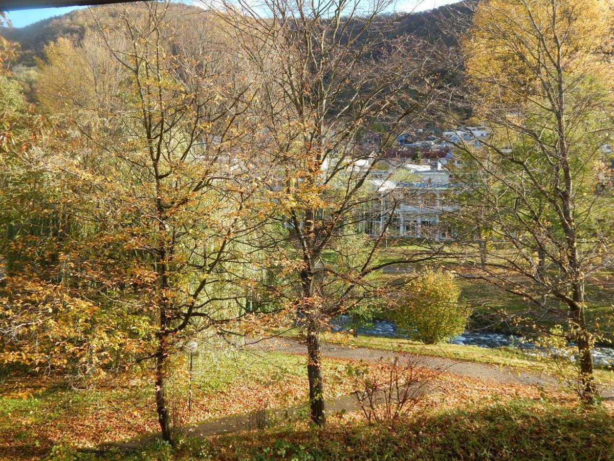 Free - Burgblick